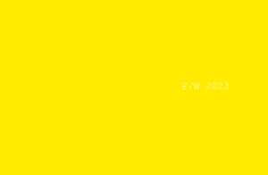 FW (1)